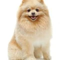 Thất Thất