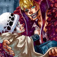 Donquixote rosinante