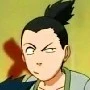 sikamaru