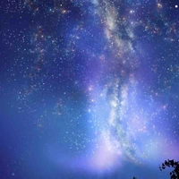 Đa giới tính, nv tổng hợp