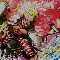 Donquixote Doflamingo