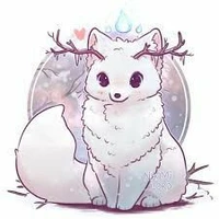 Rakki