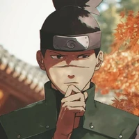 Iruka Umino