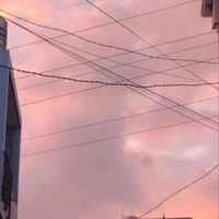 Vệ sĩ