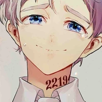 Norman/22194