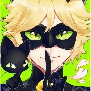 Cat Noir