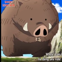 bé lợn nâu hơi xui