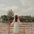 Tác giả