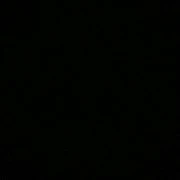 NVP