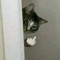 Cưới tui không 💍