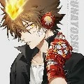 sawada tsuna(27)