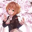 Sakura