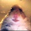 ︎︎ ︎ ︎ ︎ ︎ ︎︎ ︎ ︎ ︎
︎ ︎ ︎ ︎ ︎ ︎ ︎ ︎ ︎ ︎