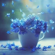 Author_cute