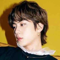 Kim Seok Jin 