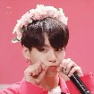 Jeon Jungkook - Y