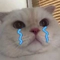 Tác giả đêyyy