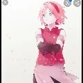 haruno sakura