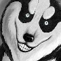 Smile dog