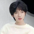 Hạ Tuấn Lâm