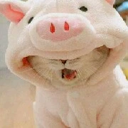 tác giả cute hột me