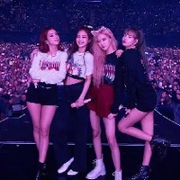 Sammu ( Blink chính hiệu  )