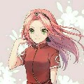 Haruno Sakura[QK]