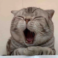 Dân viết hệ nghiệp dư