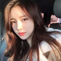 Lee Y/n