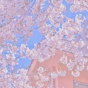 Seoul University
