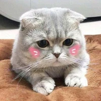 tác giả