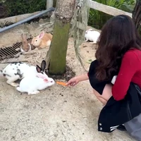 Kirrinamako - Tác giả