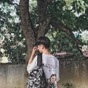 Trương Triết Hạn