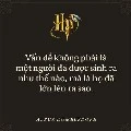 NV tổng hợp