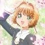 Sakura