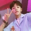 Song Tử