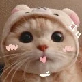 Tác giả đêyyy