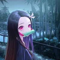 👹 Kamado nezuko 👹