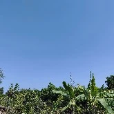 cả lớp