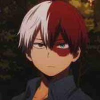 todoroki shoto