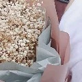 Hoa Hồng Máu
