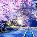 nhân vật tổng hợp