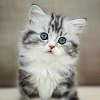Milo