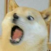 đội trưởng