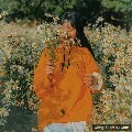 Jeon Jeong Chae-Ả