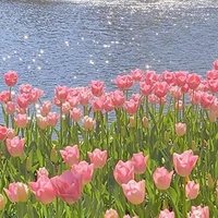 Pà nội Tác Giả đêy :)