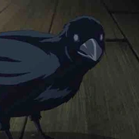 Quạ (quên tên rồi)