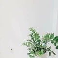 Nhân vật phụ