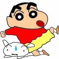 Shin