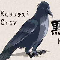 Koki (Kasugai của cô)